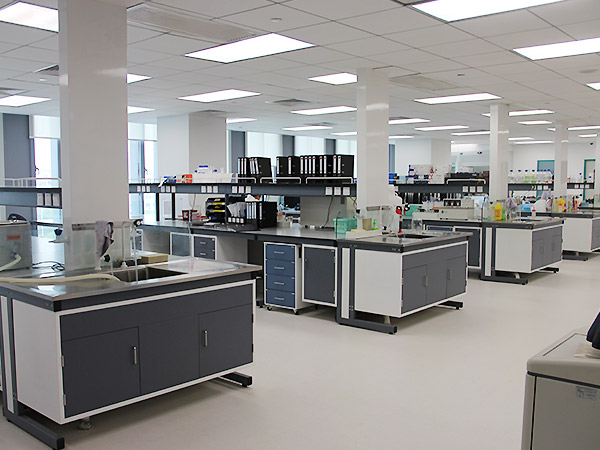 高等院校機構(gòu)工程